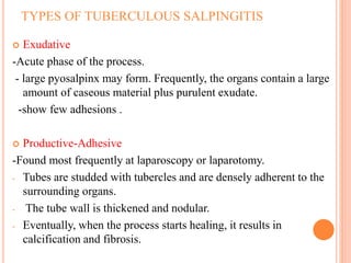 TYPES OF TUBERCULOUS SALPINGITIS
 Exudative
-Acute phase of the process.
- large pyosalpinx may form. Frequently, the organs contain a large
amount of caseous material plus purulent exudate.
-show few adhesions .
 Productive-Adhesive
-Found most frequently at laparoscopy or laparotomy.
- Tubes are studded with tubercles and are densely adherent to the
surrounding organs.
- The tube wall is thickened and nodular.
- Eventually, when the process starts healing, it results in
calcification and fibrosis.
 