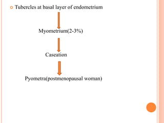  Tubercles at basal layer of endometrium
Myometrium(2-3%)
Caseation
Pyometra(postmenopausal woman)
 