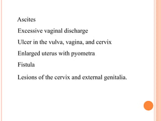 Ascites
Excessive vaginal discharge
Ulcer in the vulva, vagina, and cervix
Enlarged uterus with pyometra
Fistulal
Lesions of the cervix and external genitalia.
 