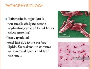 PATHOPHYSIOLOGY
Tuberculosis organism is
- non-motile obligate aerobe
replicating cycle of 17-24 hours
(slow growing)
-Non capsulated
-Acid-fast due to the surface
lipids. So resistant to common
antibacterial agents and lytic
enzymes.
 