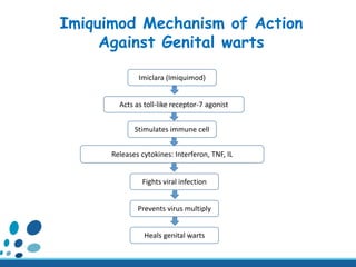 Imiclara (Imiquimod)
Fights viral infection
Releases cytokines: Interferon, TNF, IL
Prevents virus multiply
Stimulates immune cell
Heals genital warts
Acts as toll-like receptor-7 agonist
Imiquimod Mechanism of Action
Against Genital warts
 