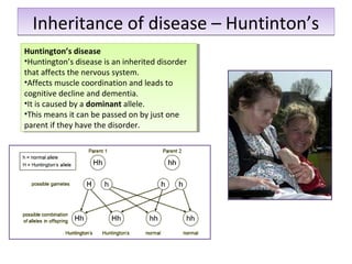 Genitics and inheritance | PPT
