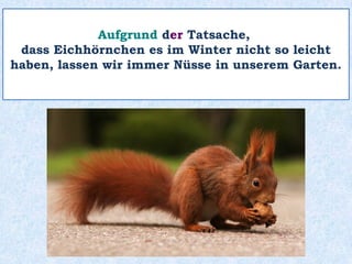 “Ein Igel name___ Hogi”
ist ein toller Kinderfilm.
ns
 