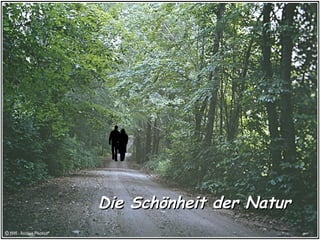 Die Schönheit der Natur

 