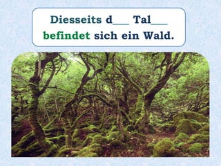 Diesseits d___ Tal___
befindet sich ein Wald.
 