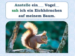 Anstelle ein___ Vogel__
sah ich ein Eichhörnchen
auf meinem Baum.
 