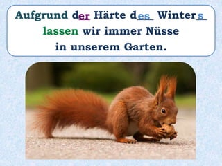 Aufgrund d__ Härte d___ Winter__
lassen wir immer Nüsse
in unserem Garten.
er es s
 