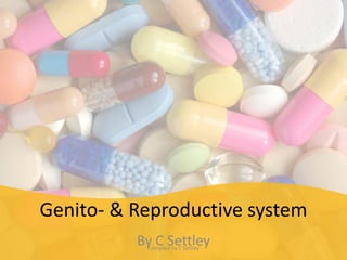 Genito- & Reproductive system
By C SettleyCompiled by C Settley
 