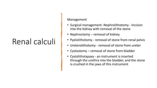 Renal calculi
Management
• Surgical management- Nephrolithotomy - Incision
into the kidney with removal of the stone
• Nephrectomy – removal of kidney
• Pyelolithotomy - removal of stone from renal pelvis
• Ureterolithotomy - removal of stone from ureter
• Cystostomy – removal of stone from bladder
• Cystolitholapaxy - an instrument is inserted
through the urethra into the bladder, and the stone
is crushed in the jaws of this instrument
 