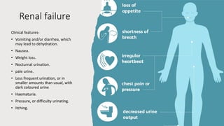 Renal failure
Clinical features-
• Vomiting and/or diarrhea, which
may lead to dehydration.
• Nausea.
• Weight loss.
• Nocturnal urination.
• pale urine.
• Less frequent urination, or in
smaller amounts than usual, with
dark coloured urine
• Haematuria.
• Pressure, or difficulty urinating.
• Itching.
 