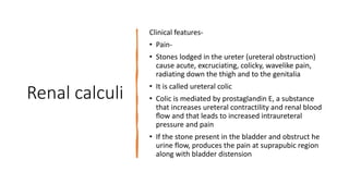 Renal calculi
Clinical features-
• Pain-
• Stones lodged in the ureter (ureteral obstruction)
cause acute, excruciating, colicky, wavelike pain,
radiating down the thigh and to the genitalia
• It is called ureteral colic
• Colic is mediated by prostaglandin E, a substance
that increases ureteral contractility and renal blood
ﬂow and that leads to increased intraureteral
pressure and pain
• If the stone present in the bladder and obstruct he
urine flow, produces the pain at suprapubic region
along with bladder distension
 