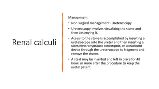 Renal calculi
Management
• Non surgical management- Ureteroscopy
• Ureteroscopy involves visualizing the stone and
then destroying it.
• Access to the stone is accomplished by inserting a
ureteroscope into the ureter and then inserting a
laser, electrohydraulic lithotriptor, or ultrasound
device through the ureteroscope to fragment and
remove the stones.
• A stent may be inserted and left in place for 48
hours or more after the procedure to keep the
ureter patent
 