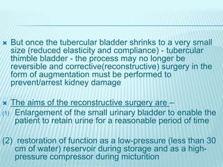 But once the tubercular bladder shrinks to a very small
size (reduced elasticity and compliance) - tubercular
thimble bladder - the process may no longer be
reversible and corrective(reconstructive) surgery in the
form of augmentation must be performed to
prevent/arrest kidney damage
 The aims of the reconstructive surgery are –
(1) Enlargement of the small urinary bladder to enable the
patient to retain urine for a reasonable period of time
(2) restoration of function as a low-pressure (less than 30
cm of water) reservoir during storage and as a high-
pressure compressor during micturition
 