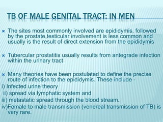 TB OF MALE GENITAL TRACT: IN MEN
 The sites most commonly involved are epididymis, followed
by the prostate,testicular involvement is less common and
usually is the result of direct extension from the epididymis
 Tubercular prostatitis usually results from antegrade infection
within the urinary tract
 Many theories have been postulated to define the precise
route of infection to the epididymis. These include -
i) Infected urine theory
ii) spread via lymphatic system and
iii) metastatic spread through the blood stream.
iv)Female to male transmission (venereal transmission of TB) is
very rare.
 