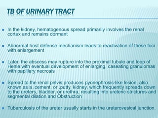 TB OF URINARY TRACT
 In the kidney, hematogenous spread primarily involves the renal
cortex and remains dormant
 Abnormal host defense mechanism leads to reactivation of these foci
with enlargement
 Later, the abscess may rupture into the proximal tubule and loop of
Henle with eventual development of enlarging, caseating granulomas
with papillary necrosis
 Spread to the renal pelvis produces pyonephrosis-like lesion, also
known as a .cement. or .putty. kidney, which frequently spreads down
to the ureters, bladder, or urethra, resulting into ureteric strictures and
segmental dilation and Obstruction
 Tuberculosis of the ureter usually starts in the ureterovesical junction.
 
