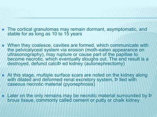  The cortical granulomas may remain dormant, asymptomatic, and
stable for as long as 10 to 15 years
 When they coalesce, cavities are formed, which communicate with
the pelvicalyceal system via erosion (moth-eaten appearance on
ultrasonography), may rupture or cause part of the papillae to
become necrotic, which eventually sloughs out. The end result is a
destroyed, defunct calciÞ ed kidney (autonephrectomy)
 At this stage, multiple surface scars are noted on the kidney along
with dilated and deformed renal excretory system, Þ lled with
caseous necrotic material (pyonephrosis)
 Later on the only remains may be necrotic material surrounded by Þ
brous tissue, commonly called cement or putty or chalk kidney
 