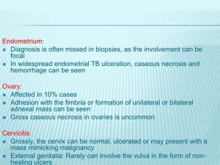 Endometrium:
 Diagnosis is often missed in biopsies, as the involvement can be
focal
 In widespread endometrial TB ulceration, caseous necrosis and
hemorrhage can be seen
Ovary:
 Affected in 10% cases
 Adhesion with the fimbria or formation of unilateral or bilateral
adnexal mass can be seen
 Gross caseous necrosis in ovaries is uncommon
Cervicitis:
 Grossly, the cervix can be normal, ulcerated or may present with a
mass mimicking malignancy
 External genitalia: Rarely can involve the vulva in the form of non-
healing ulcers
 