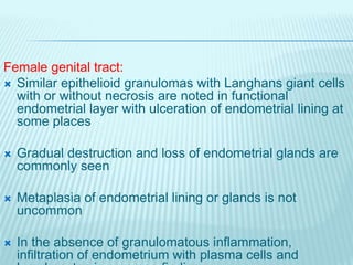 Female genital tract:
 Similar epithelioid granulomas with Langhans giant cells
with or without necrosis are noted in functional
endometrial layer with ulceration of endometrial lining at
some places
 Gradual destruction and loss of endometrial glands are
commonly seen
 Metaplasia of endometrial lining or glands is not
uncommon
 In the absence of granulomatous inflammation,
infiltration of endometrium with plasma cells and
 
