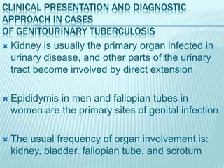 CLINICAL PRESENTATION AND DIAGNOSTIC
APPROACH IN CASES
OF GENITOURINARY TUBERCULOSIS
 Kidney is usually the primary organ infected in
urinary disease, and other parts of the urinary
tract become involved by direct extension
 Epididymis in men and fallopian tubes in
women are the primary sites of genital infection
 The usual frequency of organ involvement is:
kidney, bladder, fallopian tube, and scrotum
 