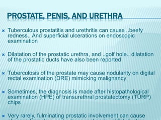 PROSTATE, PENIS, AND URETHRA
 Tuberculous prostatitis and urethritis can cause ..beefy
redness.. And superficial ulcerations on endoscopic
examination
 Dilatation of the prostatic urethra, and ..golf hole.. dilatation
of the prostatic ducts have also been reported
 Tuberculosis of the prostate may cause nodularity on digital
rectal examination (DRE) mimicking malignancy
 Sometimes, the diagnosis is made after histopathological
examination (HPE) of transurethral prostatectomy (TURP)
chips
 Very rarely, fulminating prostatic involvement can cause
 