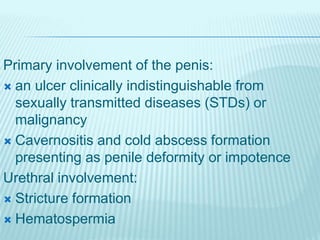 Primary involvement of the penis:
 an ulcer clinically indistinguishable from
sexually transmitted diseases (STDs) or
malignancy
 Cavernositis and cold abscess formation
presenting as penile deformity or impotence
Urethral involvement:
 Stricture formation
 Hematospermia
 