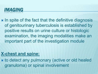 IMAGING
 In spite of the fact that the definitive diagnosis
of genitourinary tuberculosis is established by
positive results on urine culture or histologic
examination, the imaging modalities make an
important part of the investigation module
X-chest and spine:
 to detect any pulmonary (active or old healed
granuloma) or spinal involvement
 