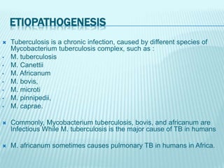 ETIOPATHOGENESIS
 Tuberculosis is a chronic infection, caused by different species of
Mycobacterium tuberculosis complex, such as :
• M. tuberculosis
• M. Canettii
• M. Africanum
• M. bovis,
• M. microti
• M. pinnipedii,
• M. caprae.
 Commonly, Mycobacterium tuberculosis, bovis, and africanum are
Infectious While M. tuberculosis is the major cause of TB in humans
 M. africanum sometimes causes pulmonary TB in humans in Africa.
 