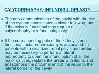 CALYCORRHAPHY/INFUNDIBULOPLASTY
 The non-communication of the cavity with the rest
of the system necessitates a closer follow-up and
if the calyx is functional may require a
calycorrhaphy or infundibuloplasty
 If the corresponding pole of the kidney is non-
functional, polar nephrectomy is advocated. In
patients with a cicatrized renal pelvis and ureter, it
may be necessary to perform a lateral
nephrotomy to open the infundibulum of all the
major calyces, replace the ureter with ileum, and
anastomose the proximal end of the ileum to the
lateral border of the cavity
 