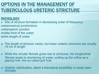 OPTIONS IN THE MANAGEMENT OF
TUBERCULOUS URETERIC STRICTURE
PATHOLOGY
 Site of stricture formation in decreasing order of frequency:
ureterovesical junction(mc)
ureteropelvic junction
middle third of the ureter
entire length of ureter
 The length of stricture varies, but lower ureteric strictures are usually
<5 cm in length
 While the circular fibrosis gives rise to strictures, the longitudinal
fibrosis leads to shortening of ureter, pulling up the orifice as a
gaping hole -the so-called golf hole
 Ureteric calcification, albeit a theoretical possibility, is rarely seen
clinically
 