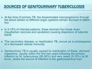 SOURCES OF GENITOURINARY TUBERCULOSIS
 At the time of primary TB, the disseminated microorganisms through
the blood stream to different organ systems remain dormant in latent
foci
 In 5-15% of infected patients, these dormant foci break down
(liquefaction necrosis and cavitation) causing dispersion of tubercle
bacilli
 This secondary disease, or reactivation TB, occurs as a consequence
of a decreased cellular immunity
 Genitourinary TB is usually caused by reactivation of these dormant
organisms, usually within the first two years following the primary
infection by M. tuberculosis (90-95%) and very rarely (5-10%) by M.
bovis, where the source of infection is the gastrointestinal tract
 