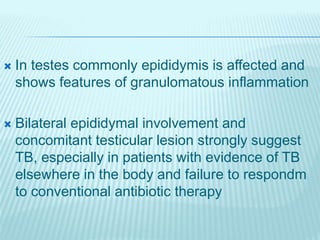  In testes commonly epididymis is affected and
shows features of granulomatous inflammation
 Bilateral epididymal involv...