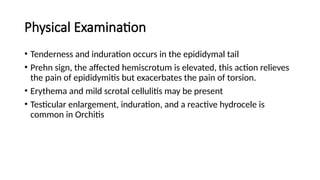 Slight Induration Genitourinaly examination ppt-1.pptx.... | PPTX