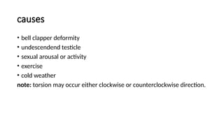 Genitourinaly examination ppt-1.pptx.... | PPTX