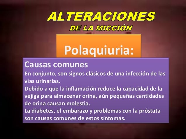 Si es necesario el cargador a los dolores en la espalda