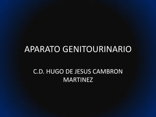 APARATO GENITOURINARIO
C.D. HUGO DE JESUS CAMBRON
MARTINEZ
 
