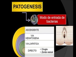Introduce un
    componente
     subcelular
  purificado de un
  microorganismo
 dentro del sistema
 inmunitario, para
crear una respuesta
    inmunitaria.

                      Vacuna contra la
                         hepatitis B
 