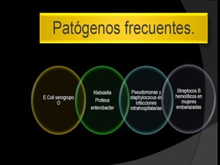 El sistema inmunitario reconoce los agentes de la vacuna como
    extraños, destruyéndolos y «recordándolos». Cuando una
versión realmente nociva de la infección llega al organismo, el
     sistema inmunitario está ya preparado para responder
 