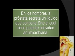 Mujeres en edad fertil.
Recien nacido              A los 5 años de edad
                                                   Entre los 10 y 49 años




                                                   Mujeres en postparto y
A partir de los 2meses     Al año de las 3 dosis
                                                   postparto susceptibles




                                                      10 años
A partir de los 4 meses      A los 12 meses        despues de la
                                                   primera dosis




A partir de los 6 meses   De 6 meses a 23 meses
 