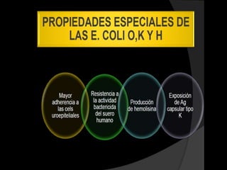ENFERMEDAD
   VACUNA           DOSIS     QUE PREVIENE

Antituberculosa                 Meningitis
     (BCG)          Unica
                               tuberculosa



  Hepatitis       De recien
                              Hepatitis B
     B             nacido
 