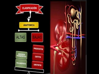 Inactivadas




   Vector                                          Vivas
recombinante                                     atenuadas

                 TIPOS DE
                 VACUNAS

         Subunitarias                 Toxoides
 