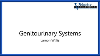 Genitourinary Systems
Lamon Willis
 