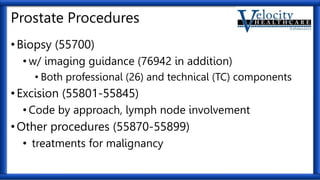 Genitourinary-Systems.pptx