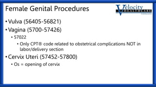 Genitourinary-Systems.pptx