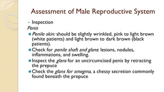 Genitourinary Assessment.pptx