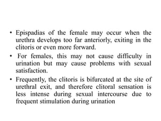 • Epispadias of the female may occur when the
urethra develops too far anteriorly, exiting in the
clitoris or even more forward.
• For females, this may not cause difficulty in
urination but may cause problems with sexual
satisfaction.
• Frequently, the clitoris is bifurcated at the site of
urethral exit, and therefore clitoral sensation is
less intense during sexual intercourse due to
frequent stimulation during urination
 
