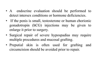 • A endocrine evaluation should be performed to
detect intersex conditions or hormone deficiencies.
• If the penis is small, testosterone or human chorionic
gonadotropin (hCG) injections may be given to
enlarge it prior to surgery.
• Surgical repair of severe hypospadias may require
multiple procedures and mucosal grafting.
• Preputial skin is often used for grafting and
circumcision should be avoided prior to repair.
 