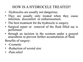 HOW IS A HYDROCELE TREATED?
• Hydroceles are usually not dangerous.
• They are usually only treated when they cause
infection, discomfort or embarrassment.
• The best treatment for the hydrocele is surgery.
• Surgical repair or removal of the fluid filled sac is
performed
• through an incision in the scrotum under a general
anaesthetic to prevent further accumulation of fluid.
Benefits of surgery:
• -Cosmetic
• -Reduction of scrotal size
• -Pain relief
 