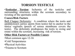 TORSION TESTICLE
•Testicular Torsion: Ischemia of the testicles and
surrounding structures within the scrotum secondary to
twisting of the spermatic cord.
Causes/Risk Factors
Bell Clapper Deformity: A condition where the testis and
epididymis(it carries sperm from testis) fail to anchor to the
tunica vaginalis (pouch of serous membrane covers the
testis). The deformity predisposes the testis to swing and
rotate within the scrotum, increasing risk of torsion.
Other Risk Factors or Possible Causes:
•Most common ages 12-16
•Cold Temperatures
•Physical Activities
•Trauma to Scrotum
 