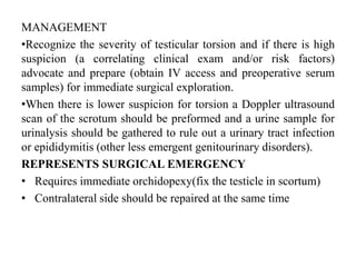 MANAGEMENT
•Recognize the severity of testicular torsion and if there is high
suspicion (a correlating clinical exam and/or risk factors)
advocate and prepare (obtain IV access and preoperative serum
samples) for immediate surgical exploration.
•When there is lower suspicion for torsion a Doppler ultrasound
scan of the scrotum should be preformed and a urine sample for
urinalysis should be gathered to rule out a urinary tract infection
or epididymitis (other less emergent genitourinary disorders).
REPRESENTS SURGICAL EMERGENCY
• Requires immediate orchidopexy(fix the testicle in scortum)
• Contralateral side should be repaired at the same time
 