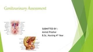 Genitourinary Assessment
SUBMITTED BY :
Anmol Prashar
B.Sc. Nursing 4th Year
 